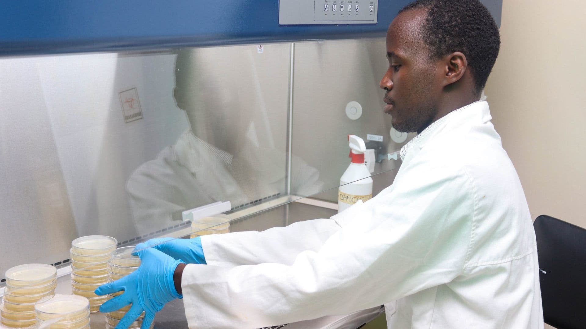 Laboratory work at KIPRE