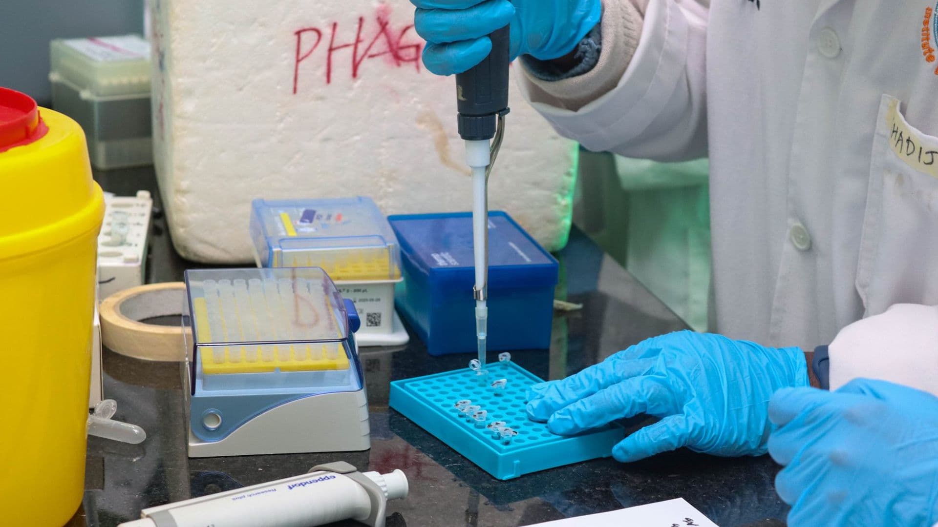 KIPRE researchers and visitors
